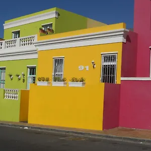 Rose Cape Town